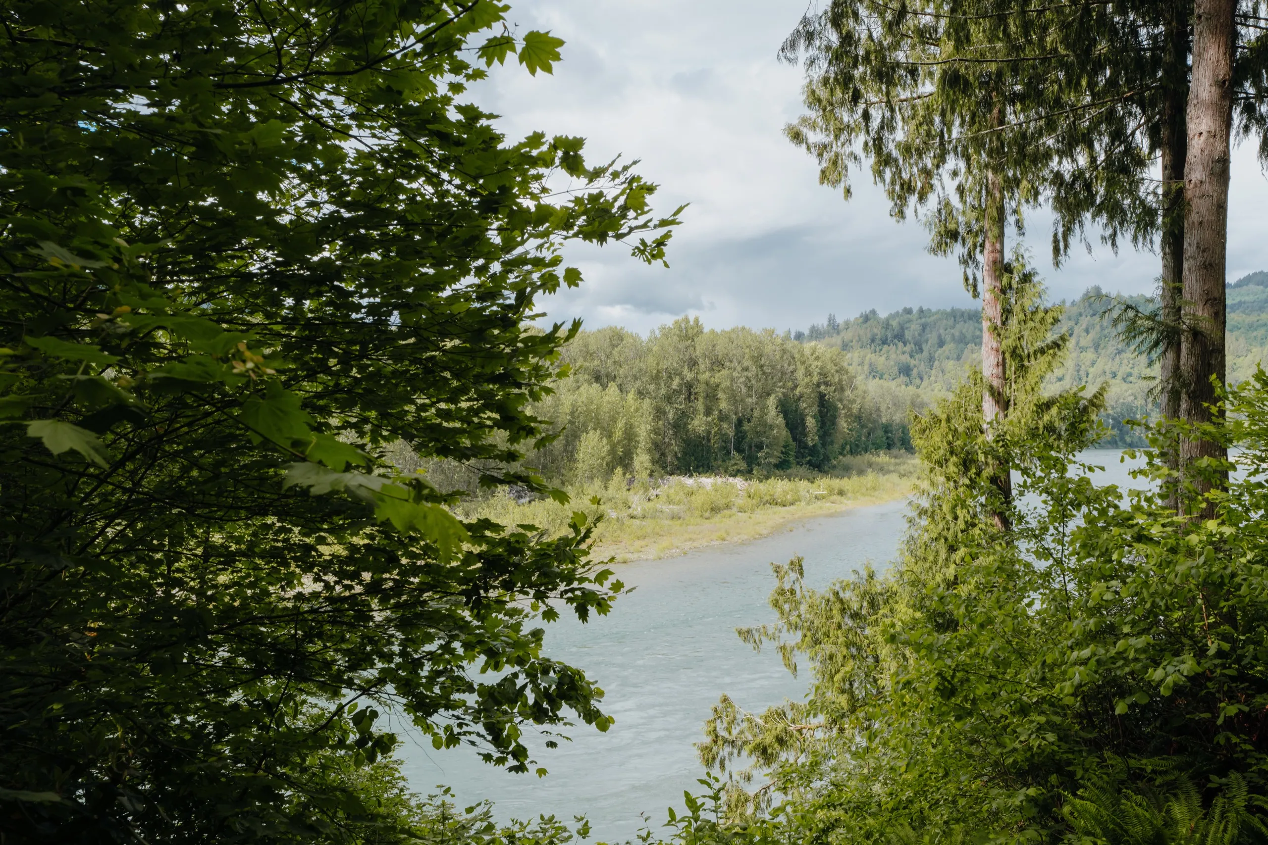 Backyard & river photo 13