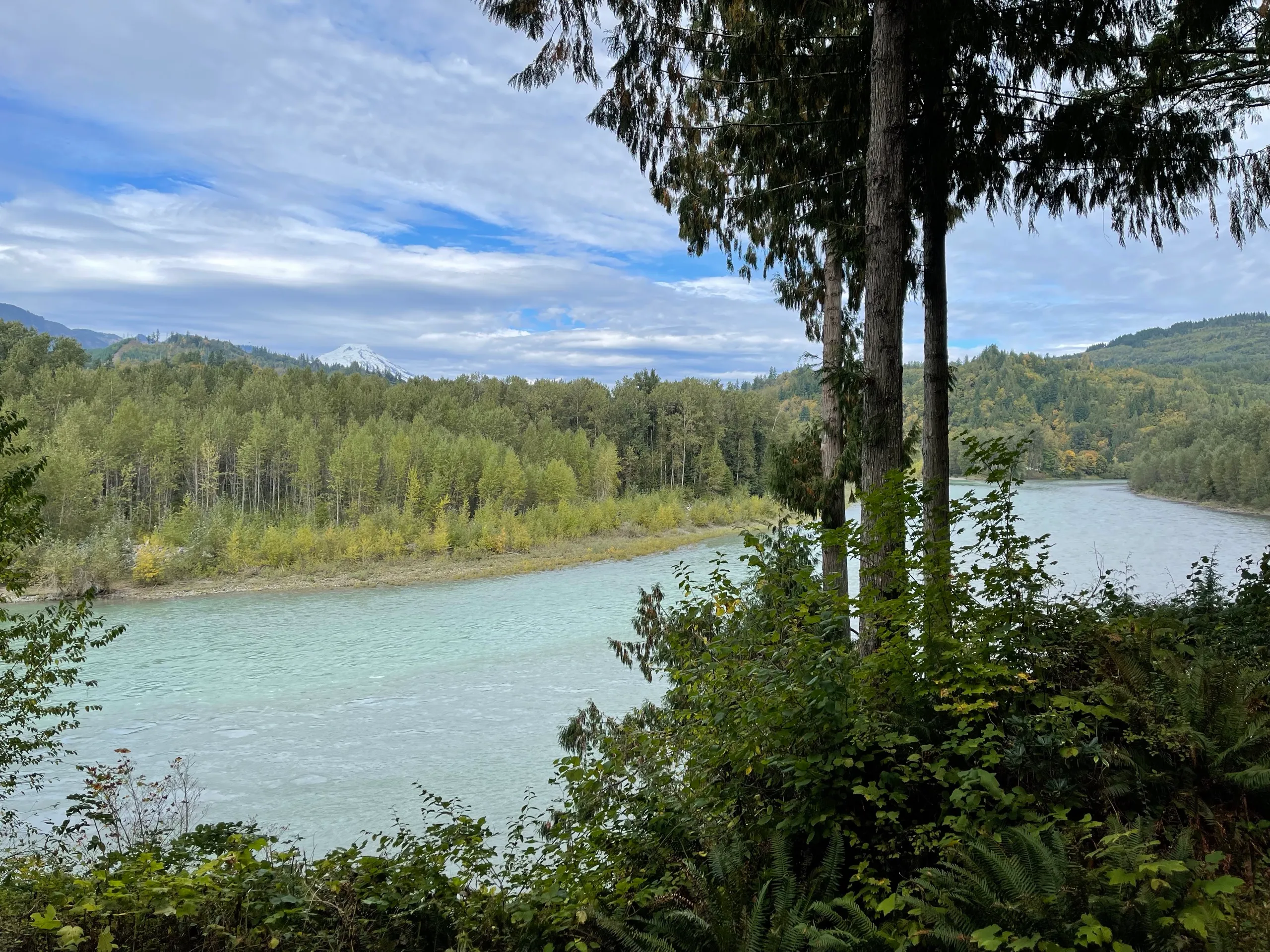 Backyard & river photo 3