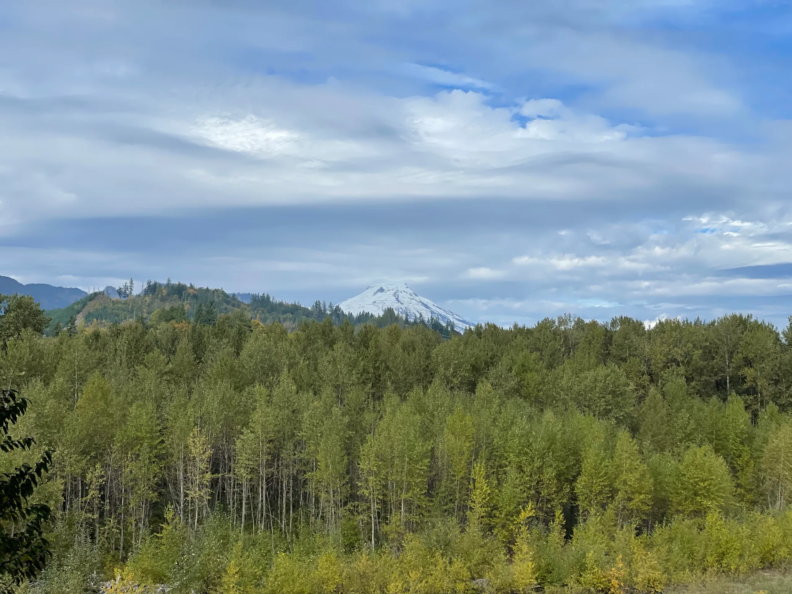 Backyard & river photo 6