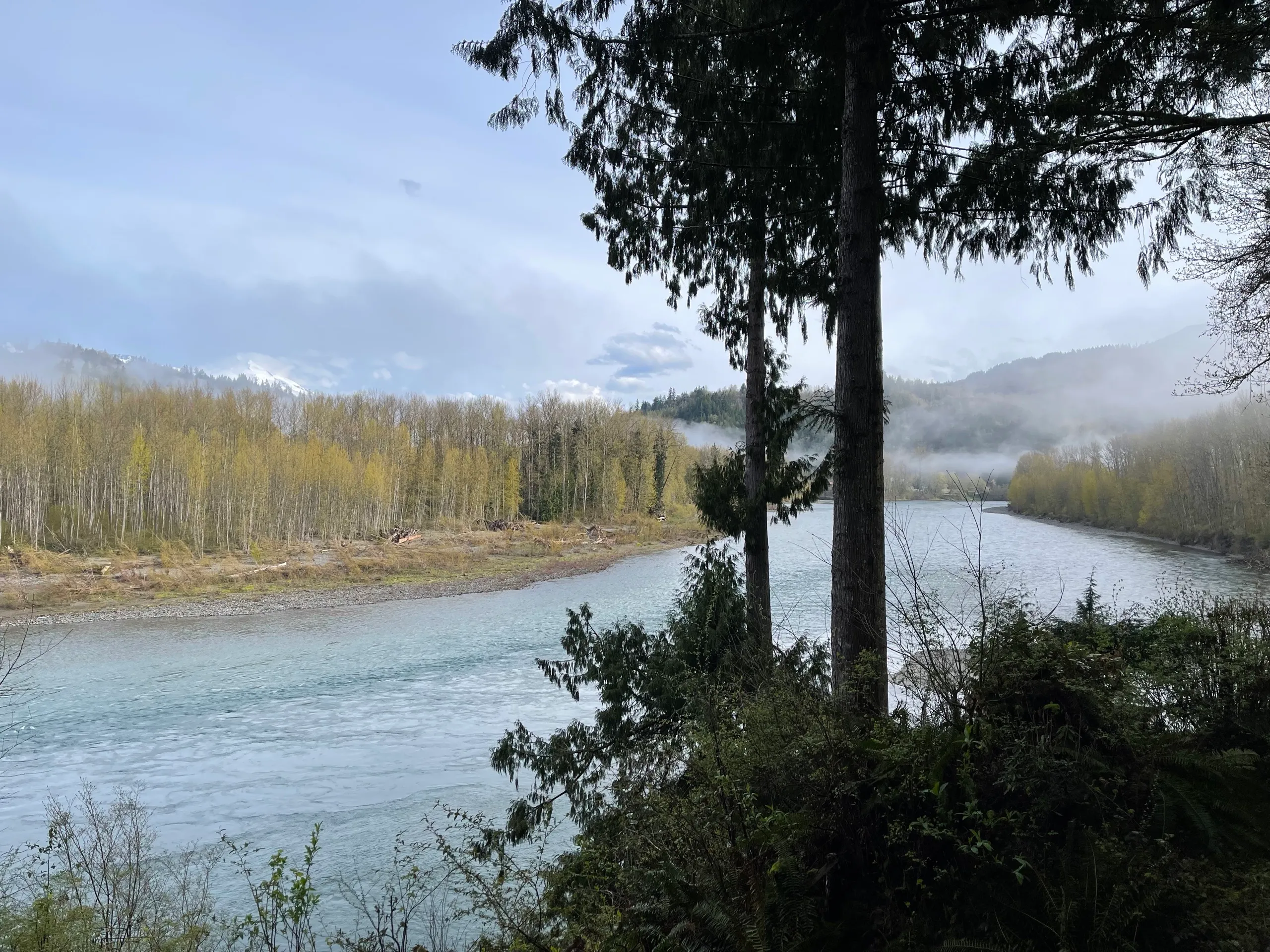 Backyard & river photo 14