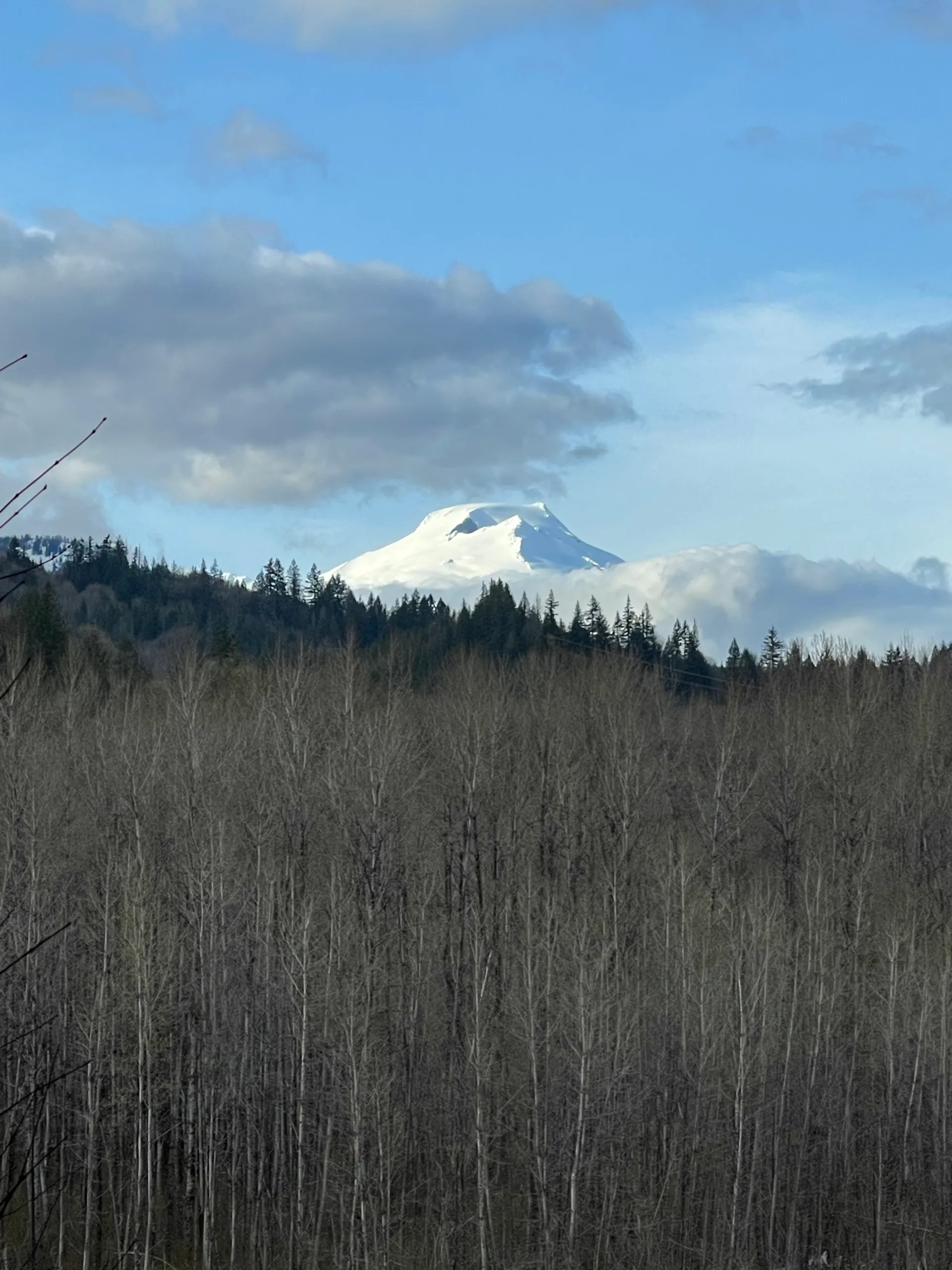 Backyard & river photo 16